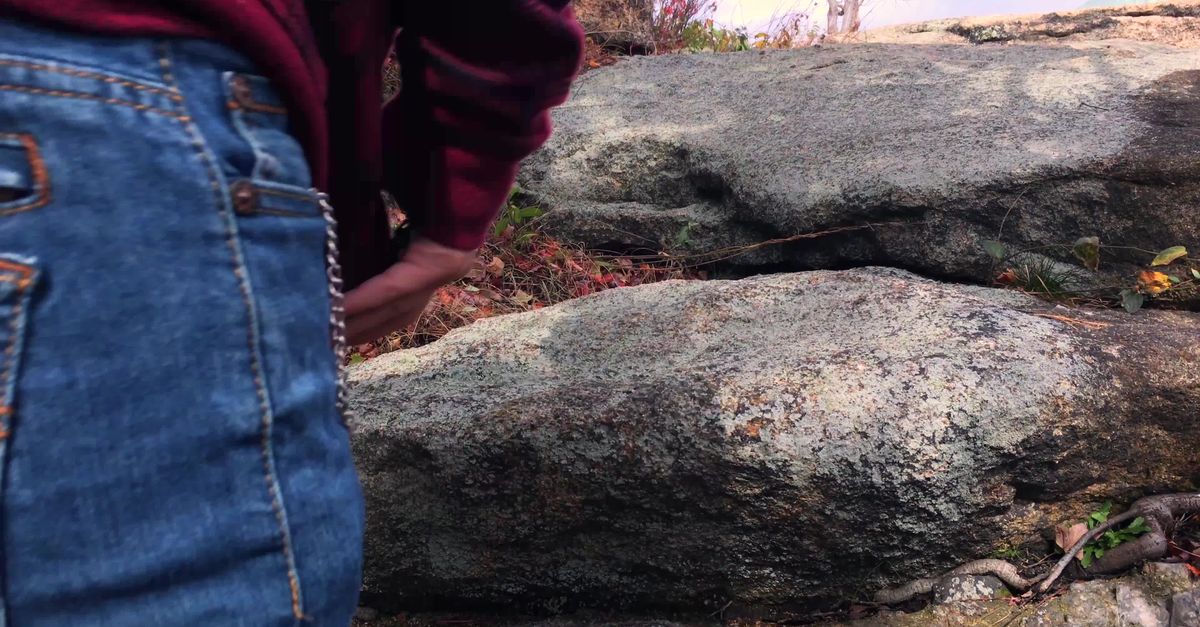 A person walking on some rocks in the woods Free Stock Video Footage ...