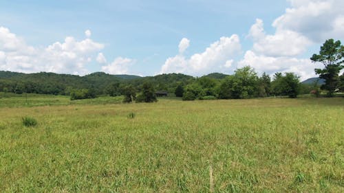 Aerial View Of A Green Field