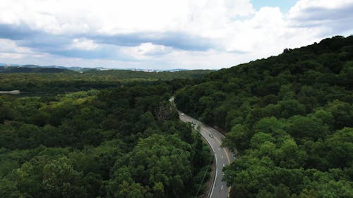 Ujęcia Z Drona Społeczności Leśnej