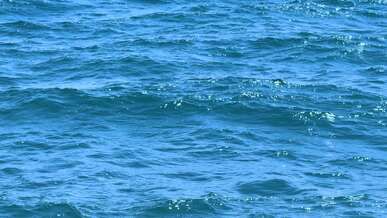 blue sea waves on a sunny day