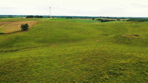 Une Route Traverse Un Champ Agricole