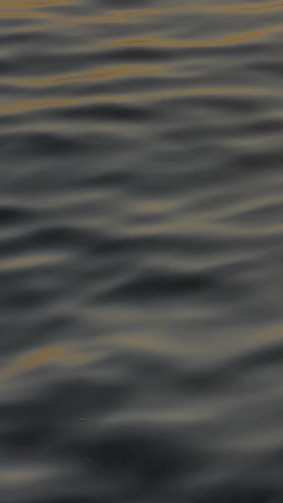 Alisa Minja's ocean waves sunset video