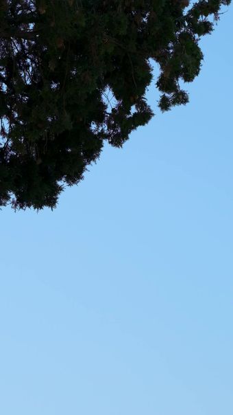 和平大钟免费下载视频素材