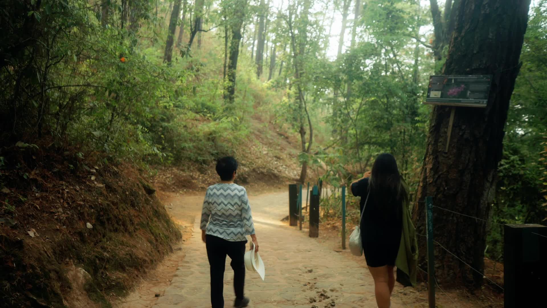 Two people walking down a path in the woods Free Stock Video Footage ...