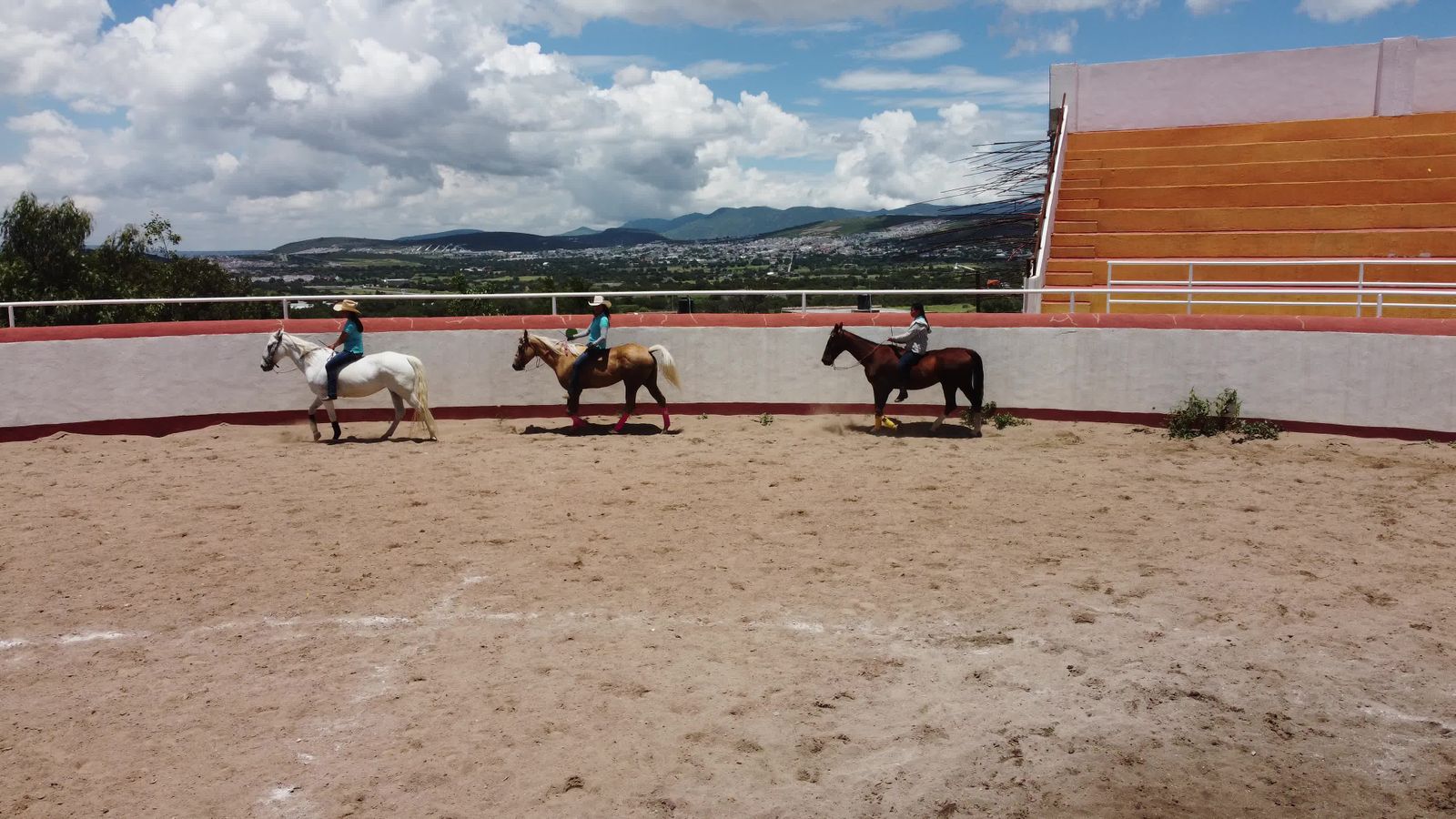 Women Horse Riding Videos, Download The BEST Free 4k Stock Video ...