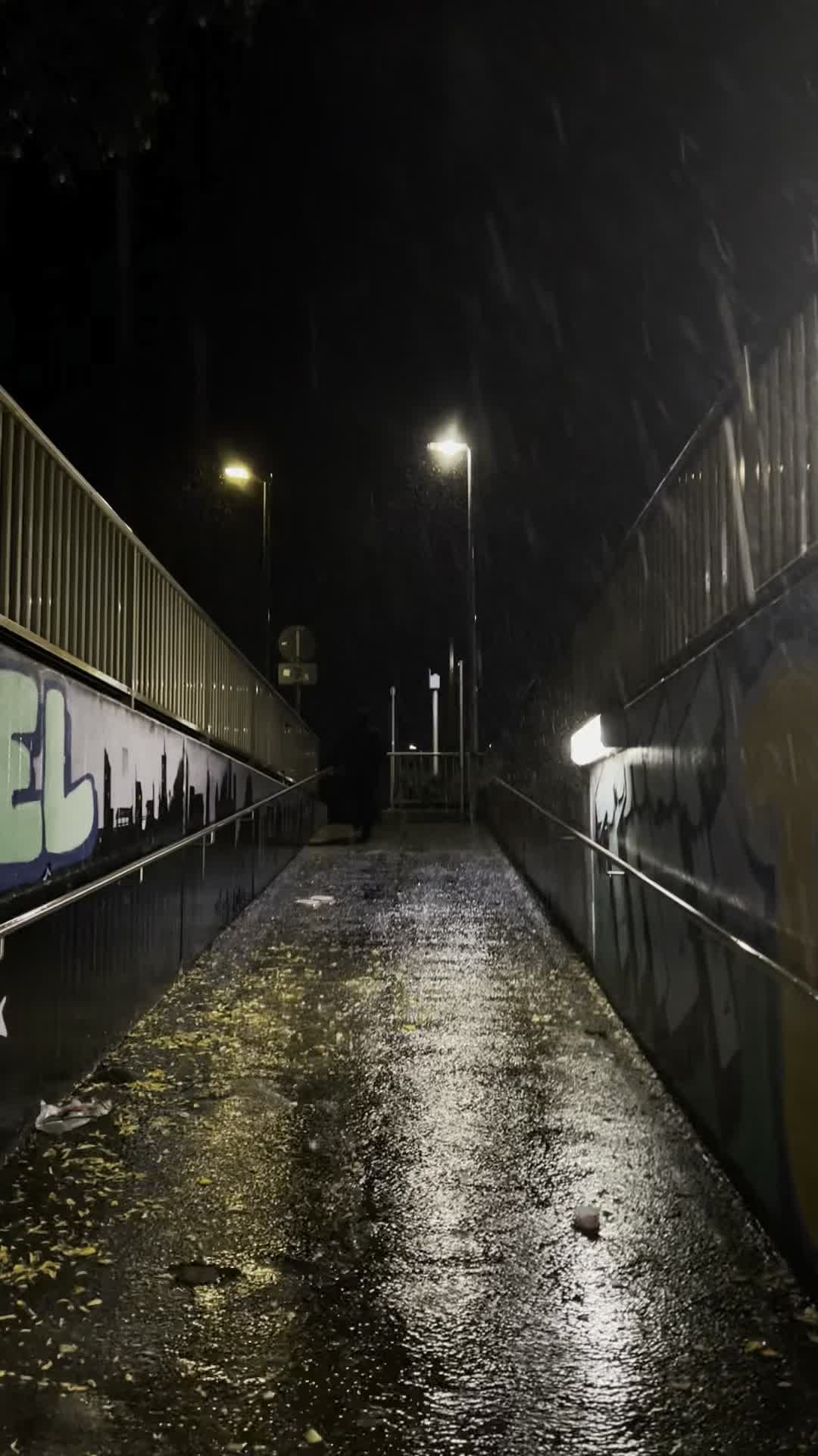 宁静郊区街道上阴雨绵绵的夜晚 · 免费素材视频