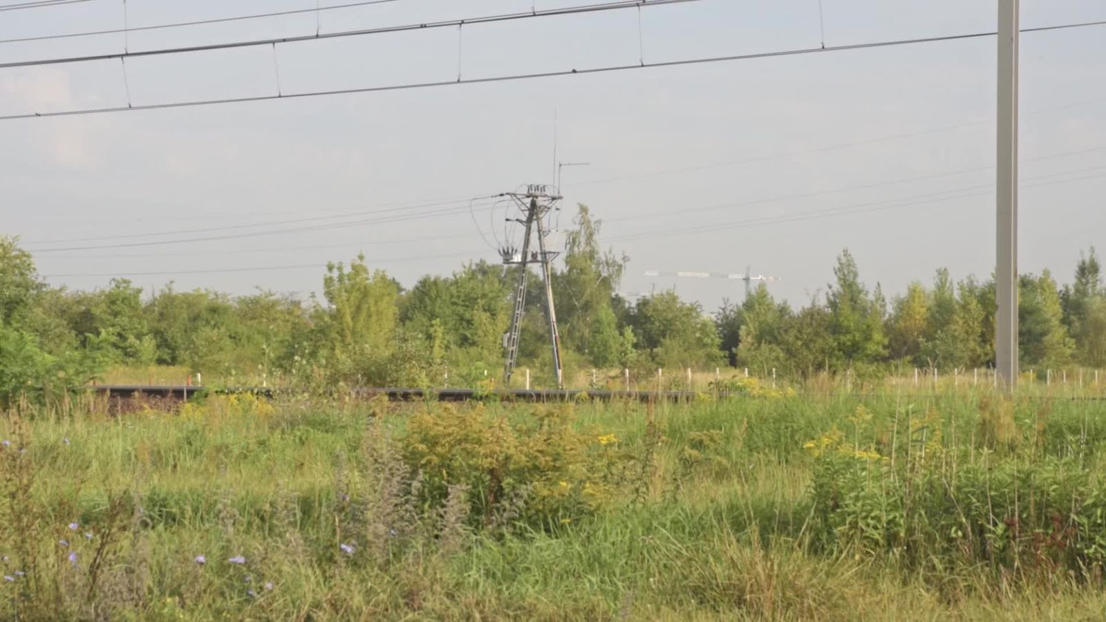Train Animation Videos, Download The BEST Free 4k Stock Video Footage ...