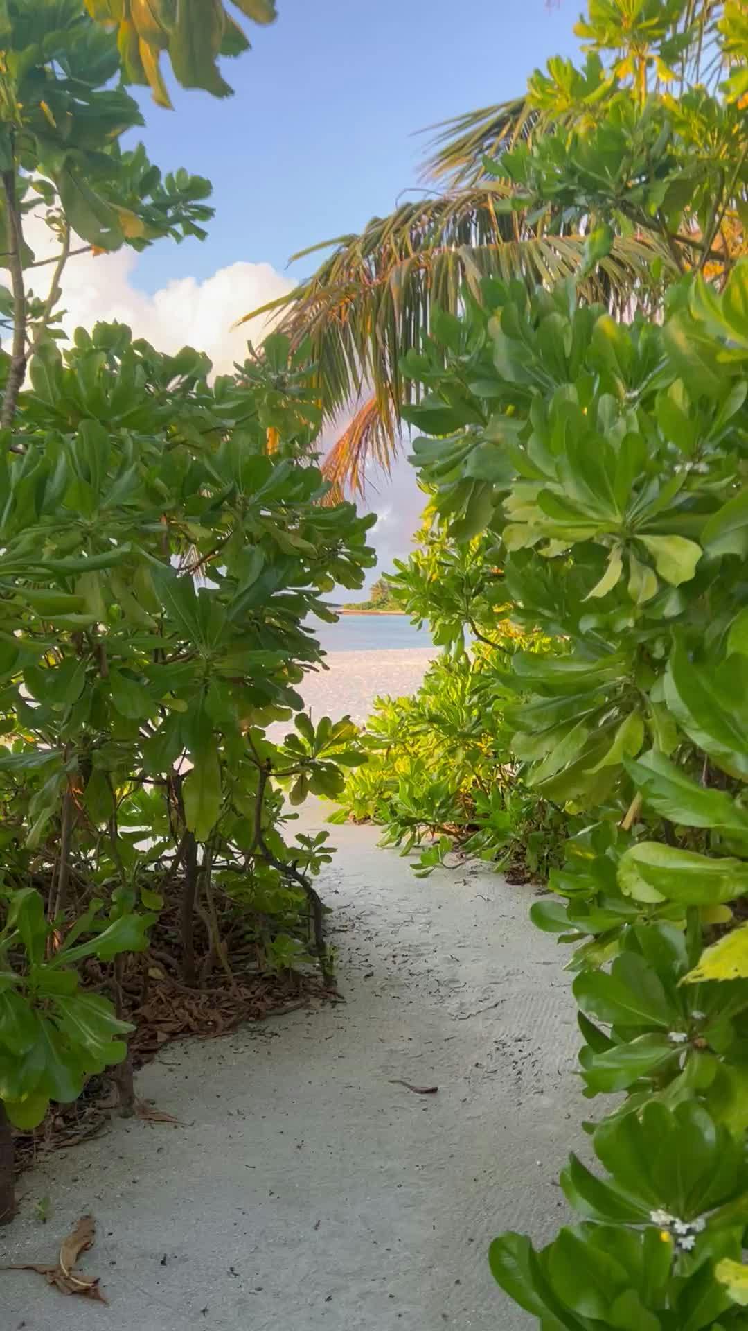 a beach at or near the apartment 28197982