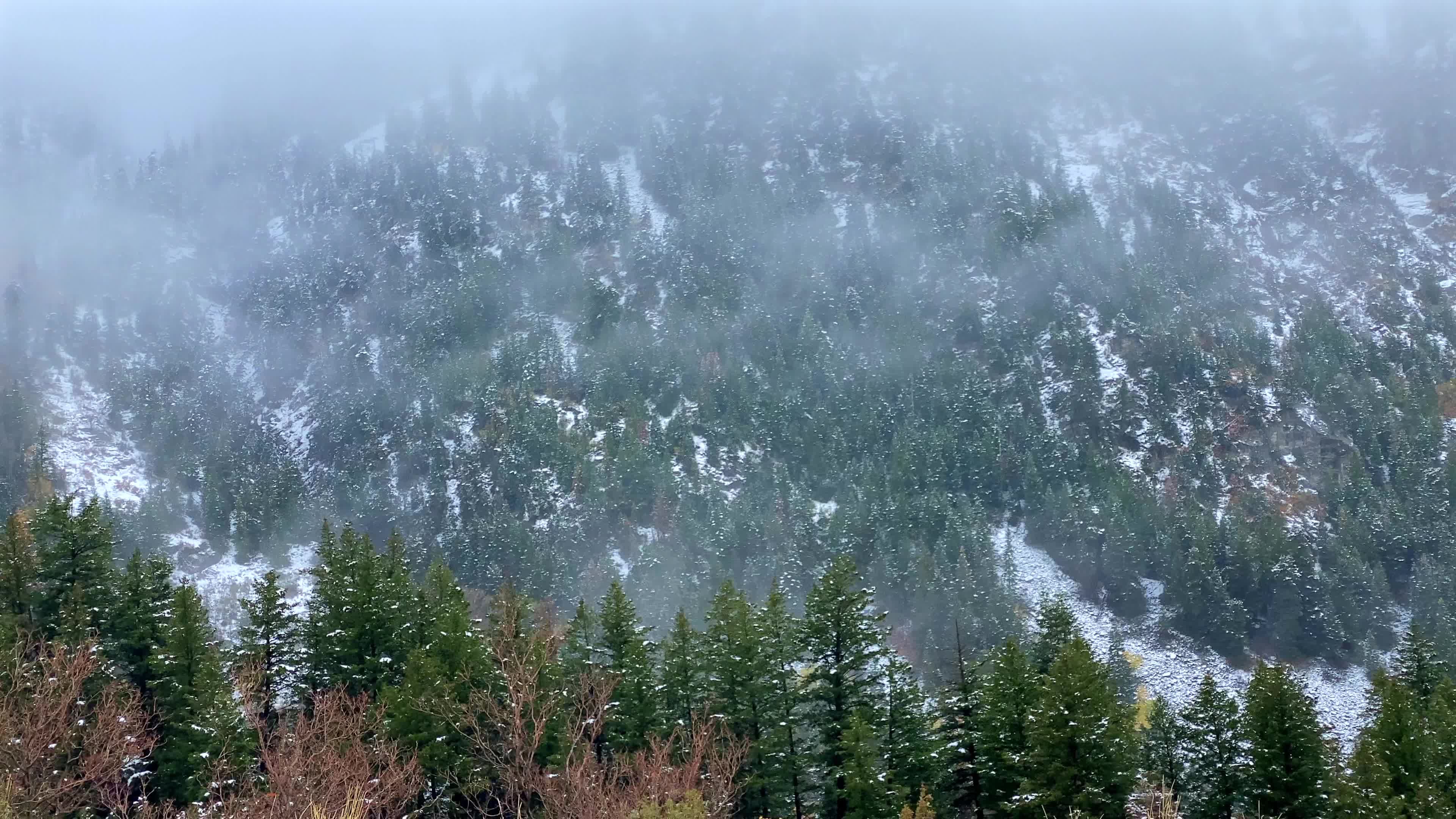A view of a snowy mountain covered in trees Free Stock Video Footage ...
