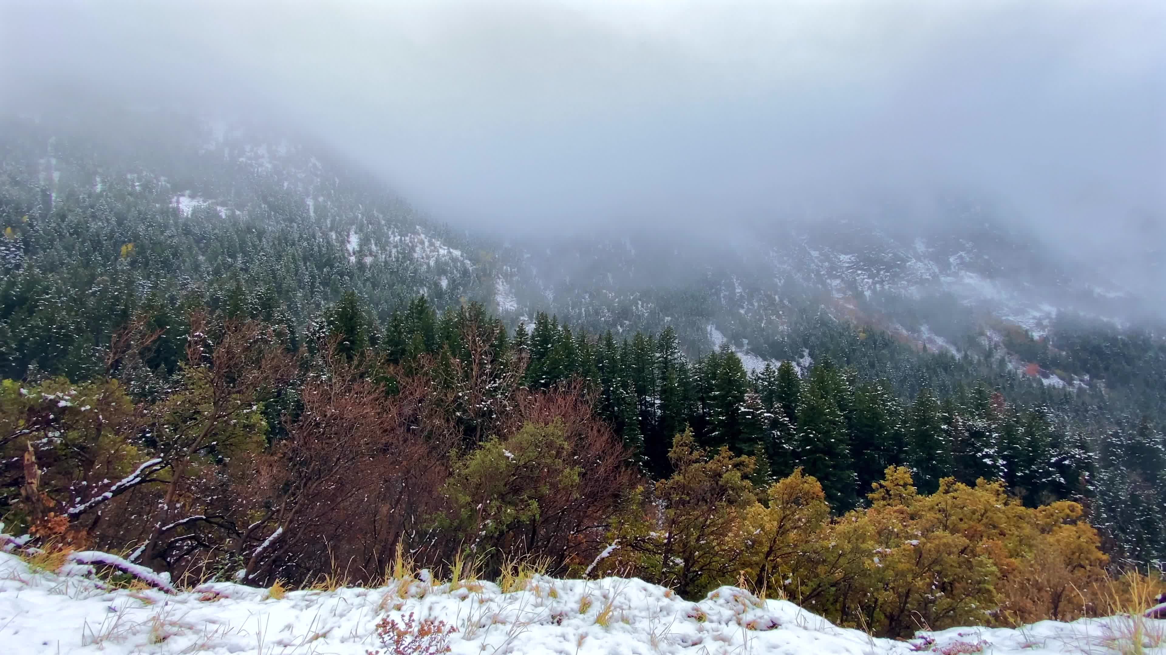 A snowy mountain with trees and snow covered ground Free Stock Video ...