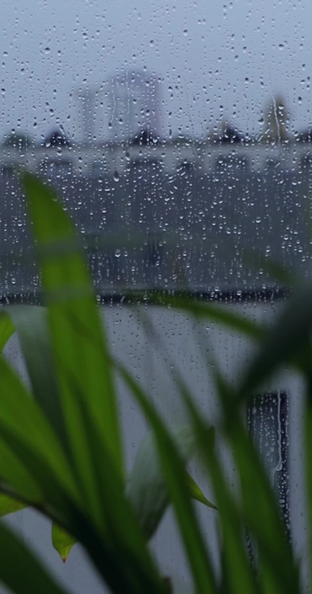 视频素材预览