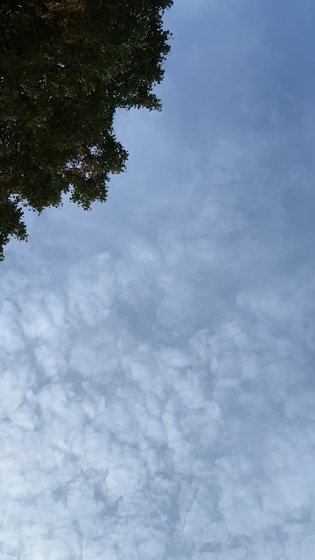 Video by Bav Vadgama