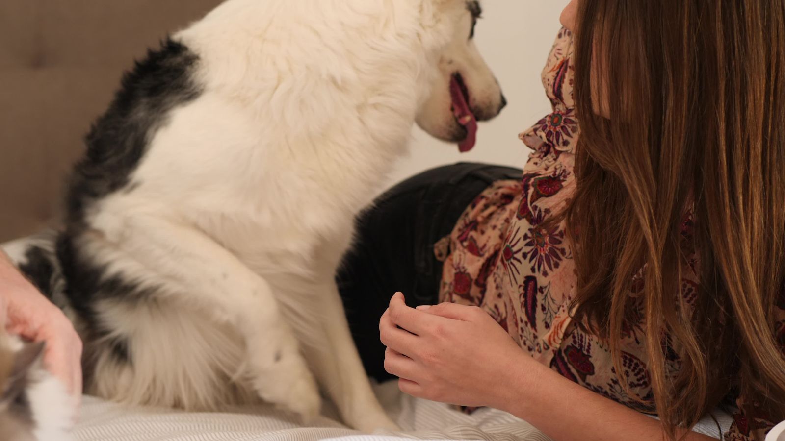 girl-making-out-with-dog-videos-download-the-best-free-4k-stock-video