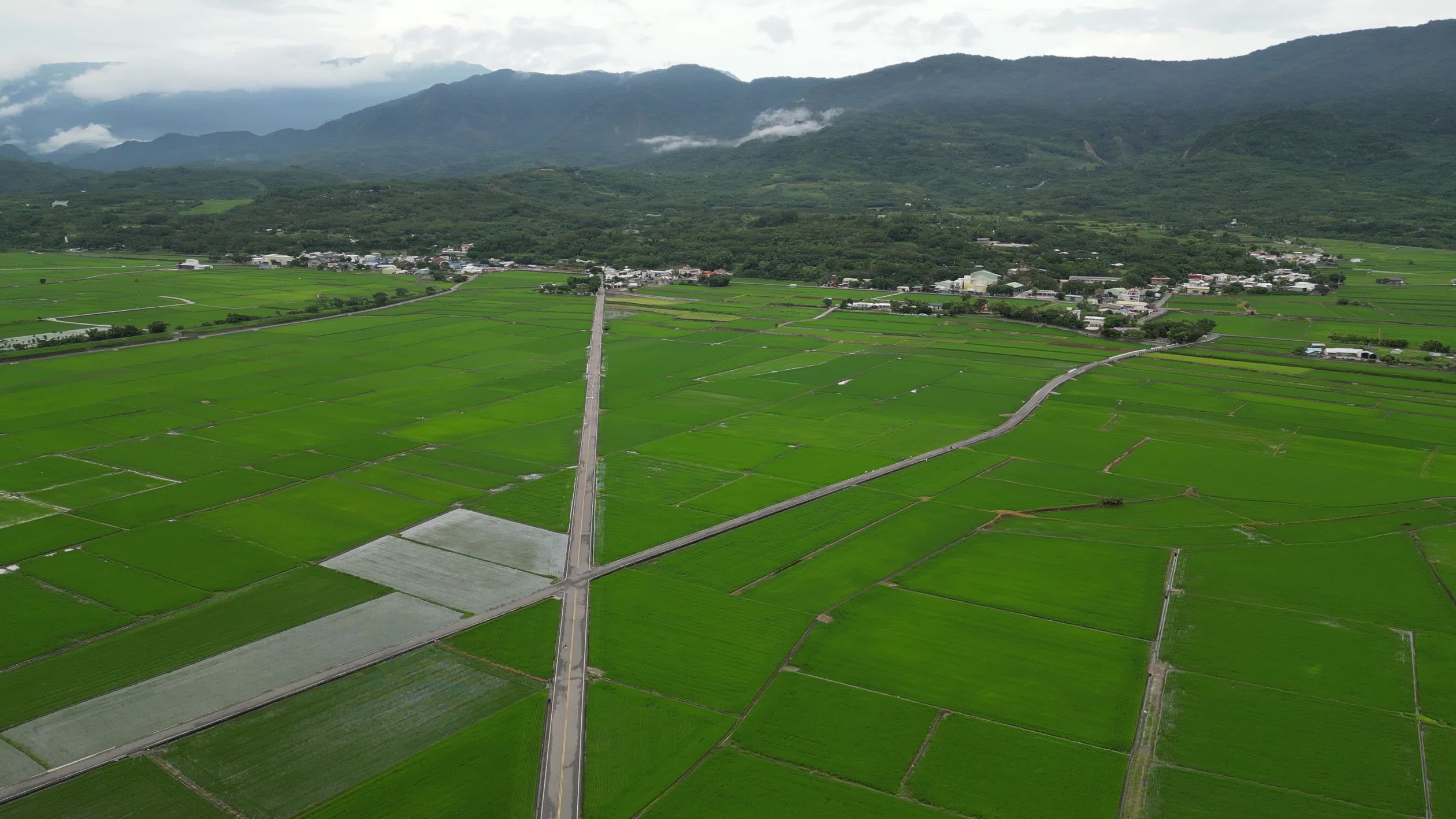 Aerial view of a rice field with mountains in the background Free Stock ...