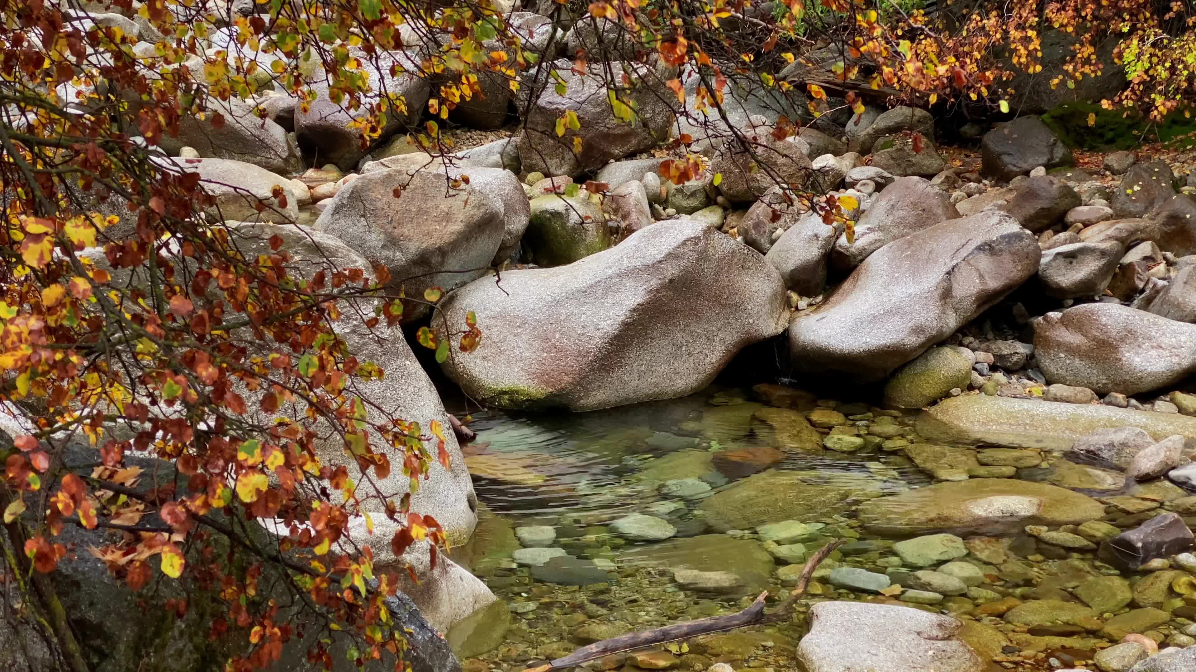 A stream in the woods with rocks and leaves Free Stock Video Footage ...