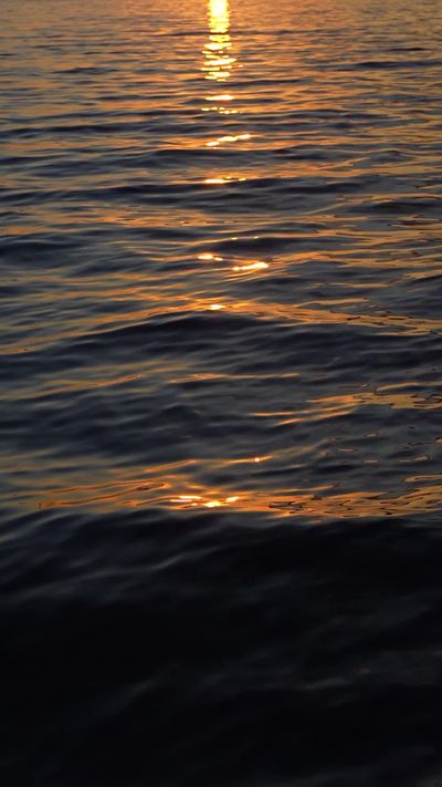 Yunus Tuğ's ocean waves sunset video