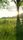 summer afternoon