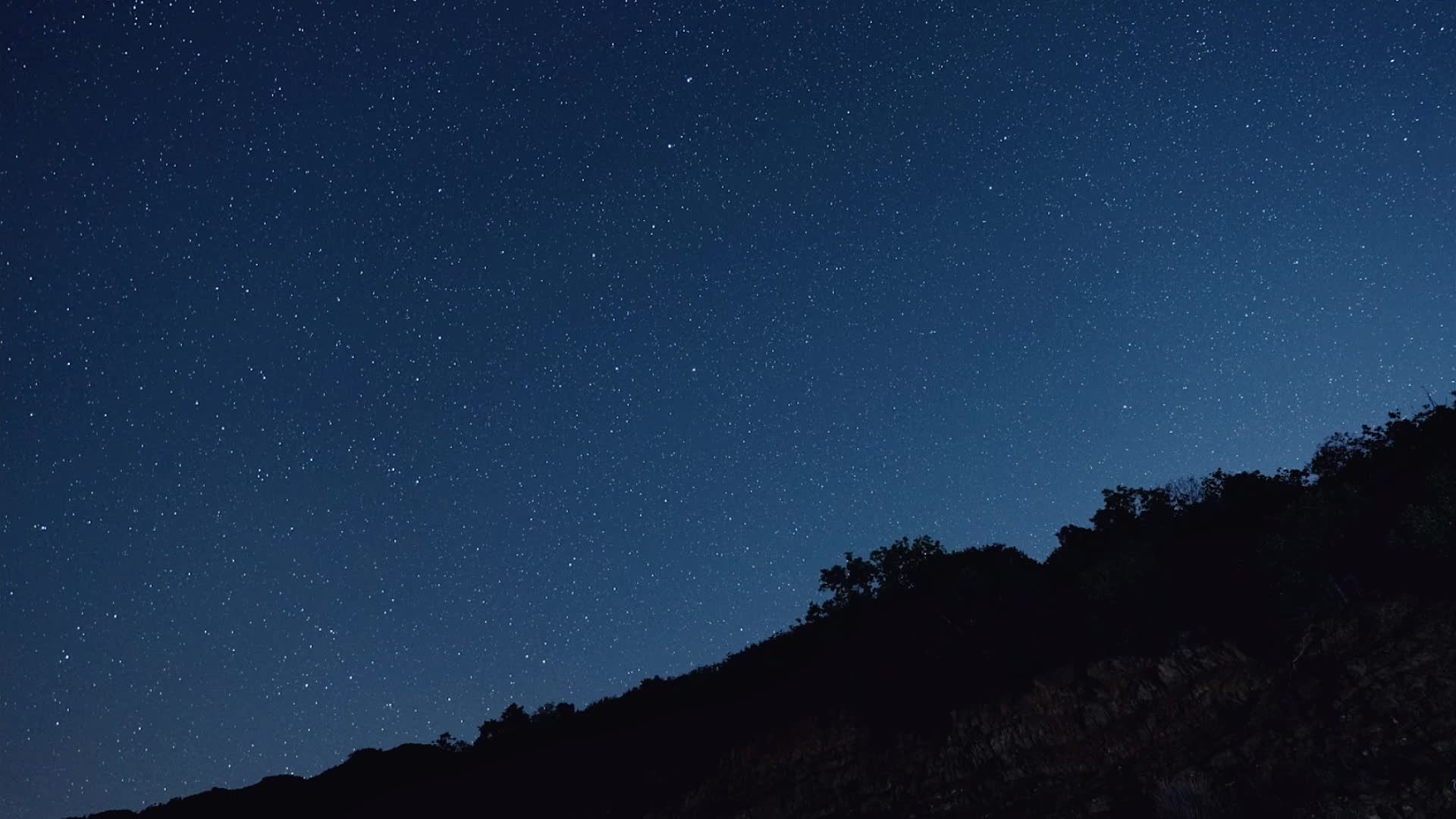 Twerking+Gif Videos, Download The BEST Free 4k Stock Video Footage