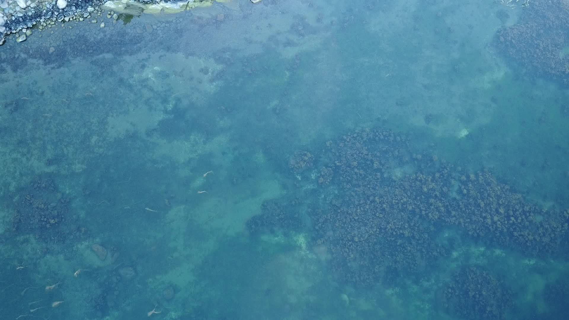 drone flying over archipelago 28297346 — free pexels stock footage