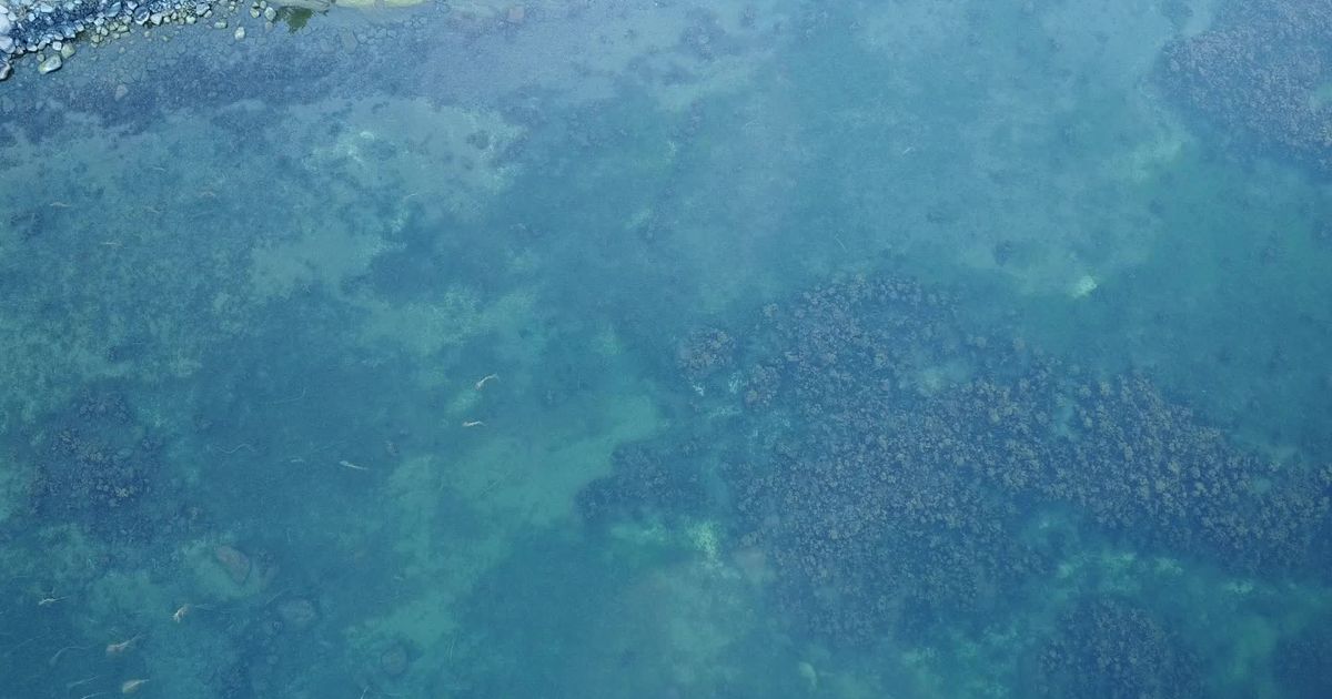 drone flying over archipelago 28297346 — free pexels stock footage