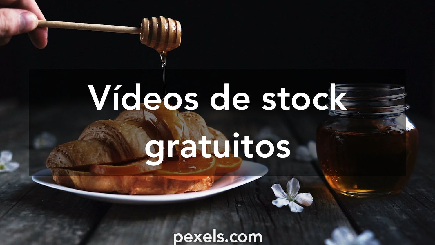 13.900+ Panal De Miel Vídeos de stock y películas libres de