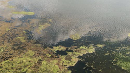 Water Pollution Videos, Download The BEST Free 4k Stock Video Footage & Water Pollution HD Video Clips Water Pollution Videos, Download The BEST Free 4k Stock Video Footage & Water Pollution HD Video Clips