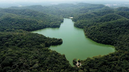 山の森の谷にある湖のダム