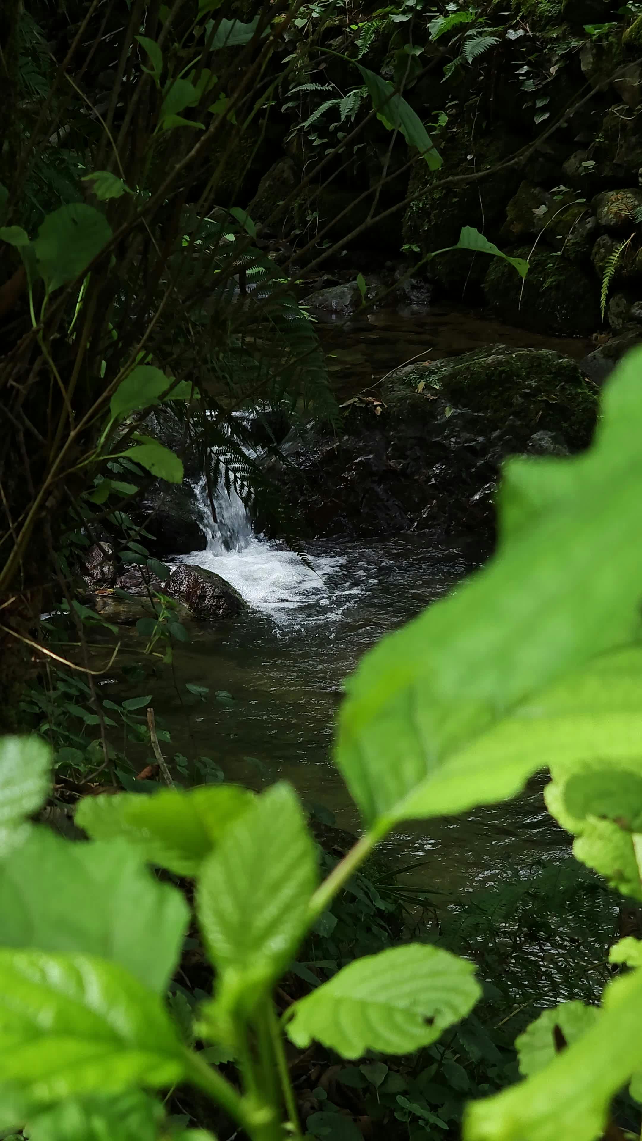 Video by Ünal Karabiber