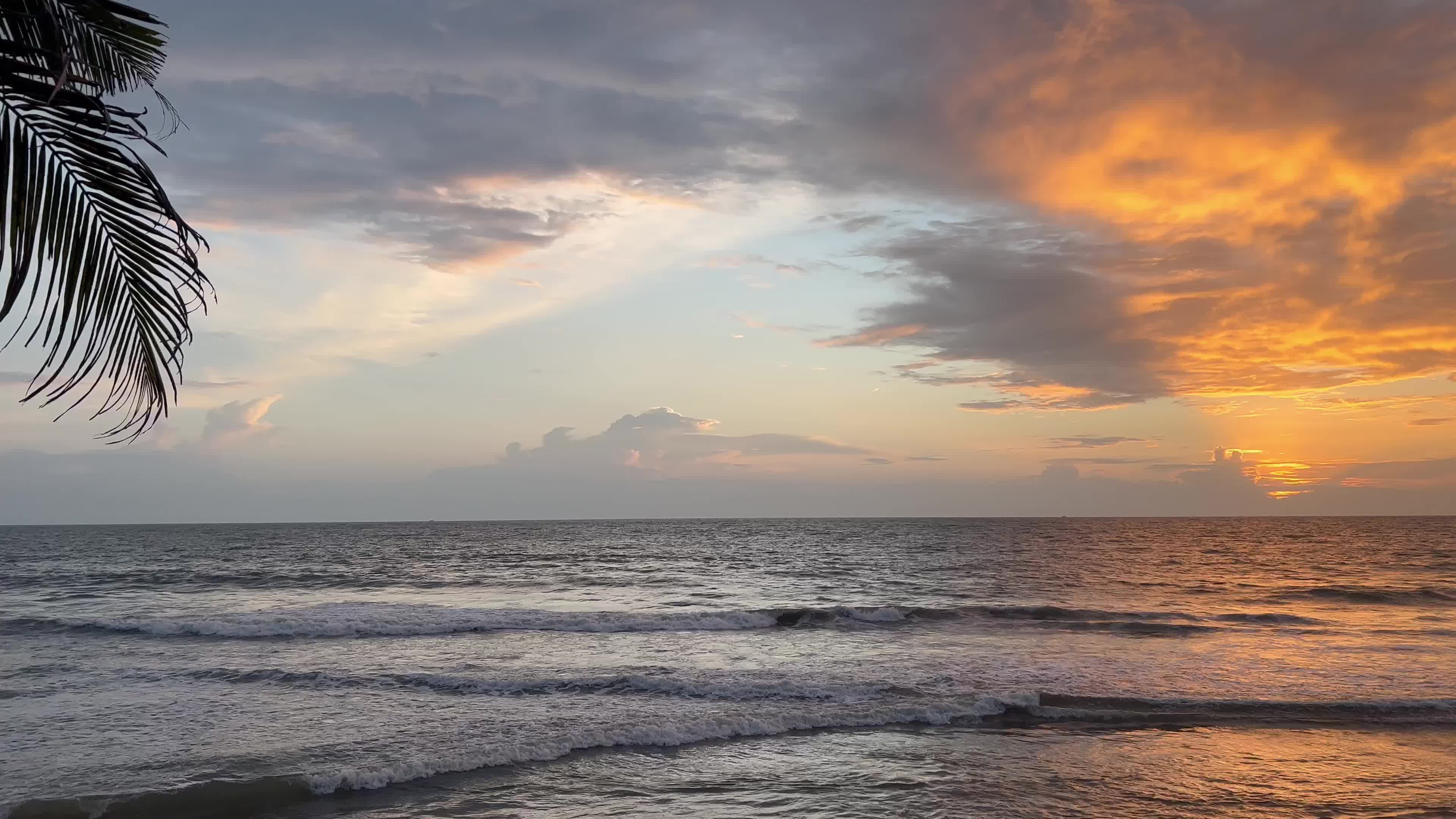 Serene Tropical Beach Sunset with Palm Trees Free Stock Video Footage ...