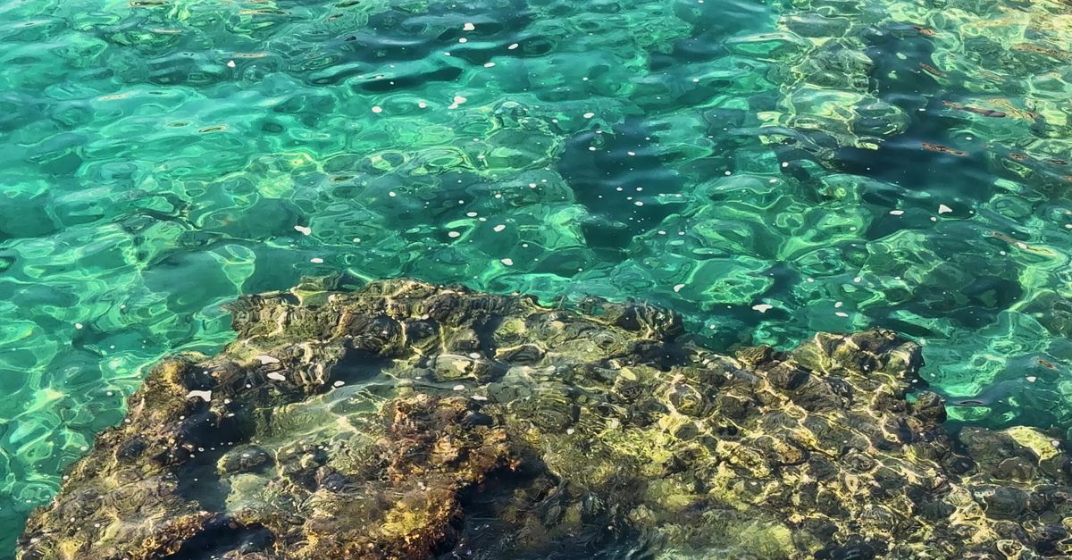 Clear Sea Rocks a clean sea with visible rocks inside Free Stock Video Footage, Royalty ...