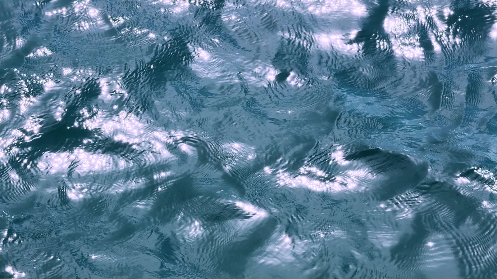 Motion Backgrounds Videos, Download The BEST Free 4k Stock Video