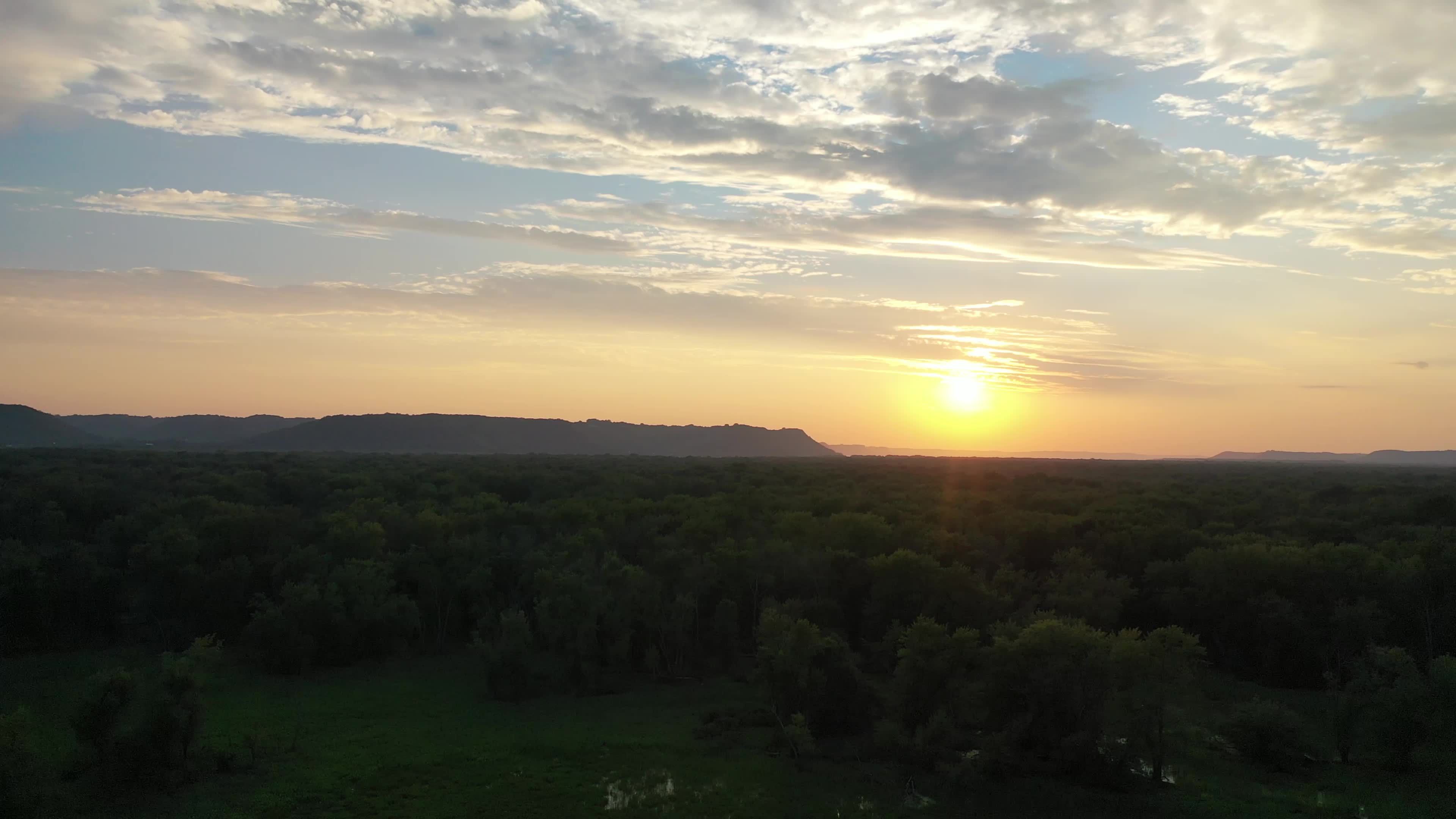 Video by Tom Fisk