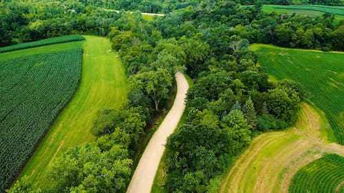 Sebuah Jalan Yang Dibangun Melalui Perkebunan Dan Hutan