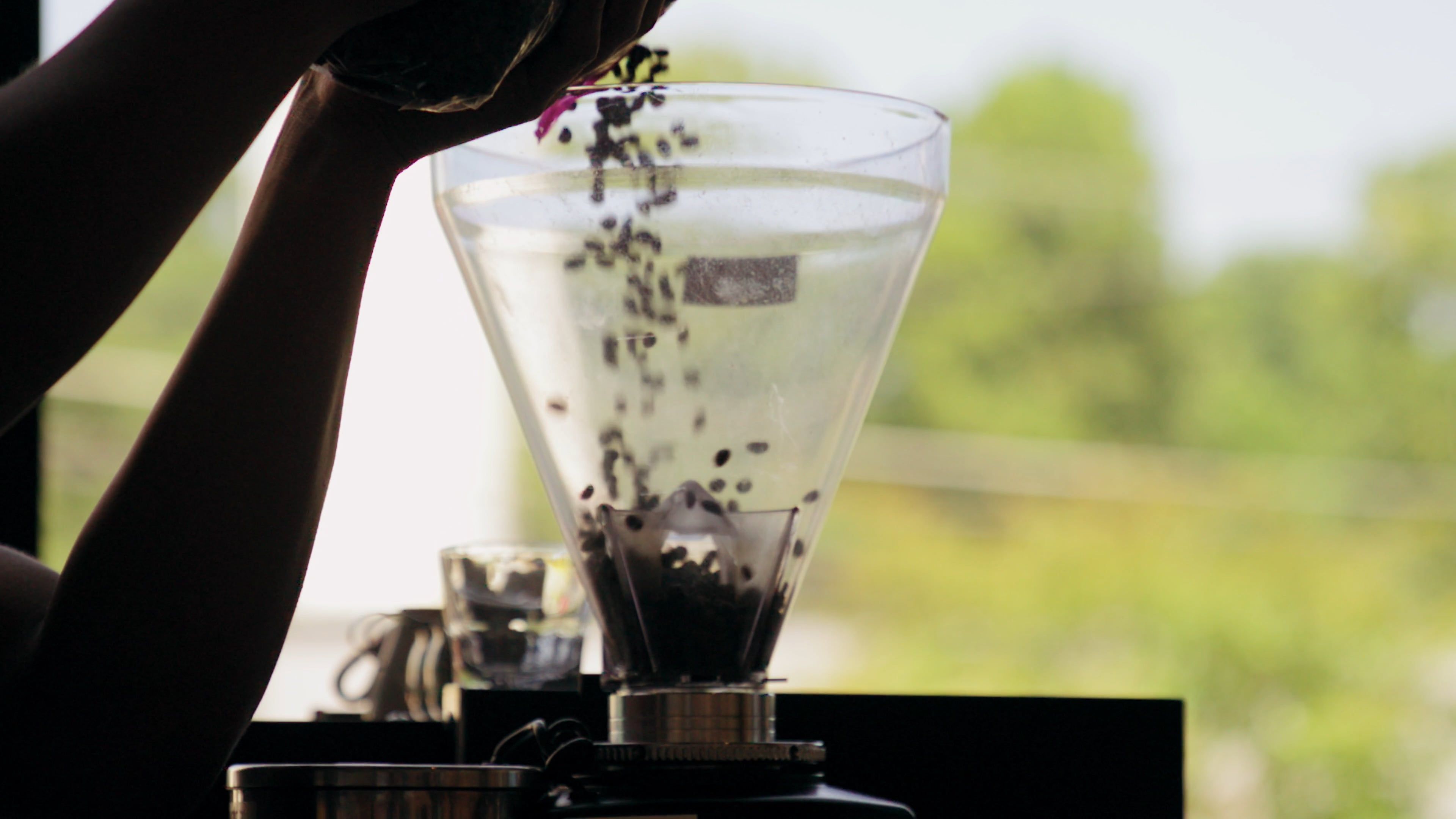 Coffee beans turning in a roaster drum