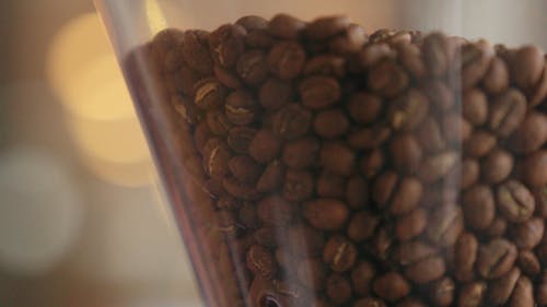 유리 용기에 커피 콩