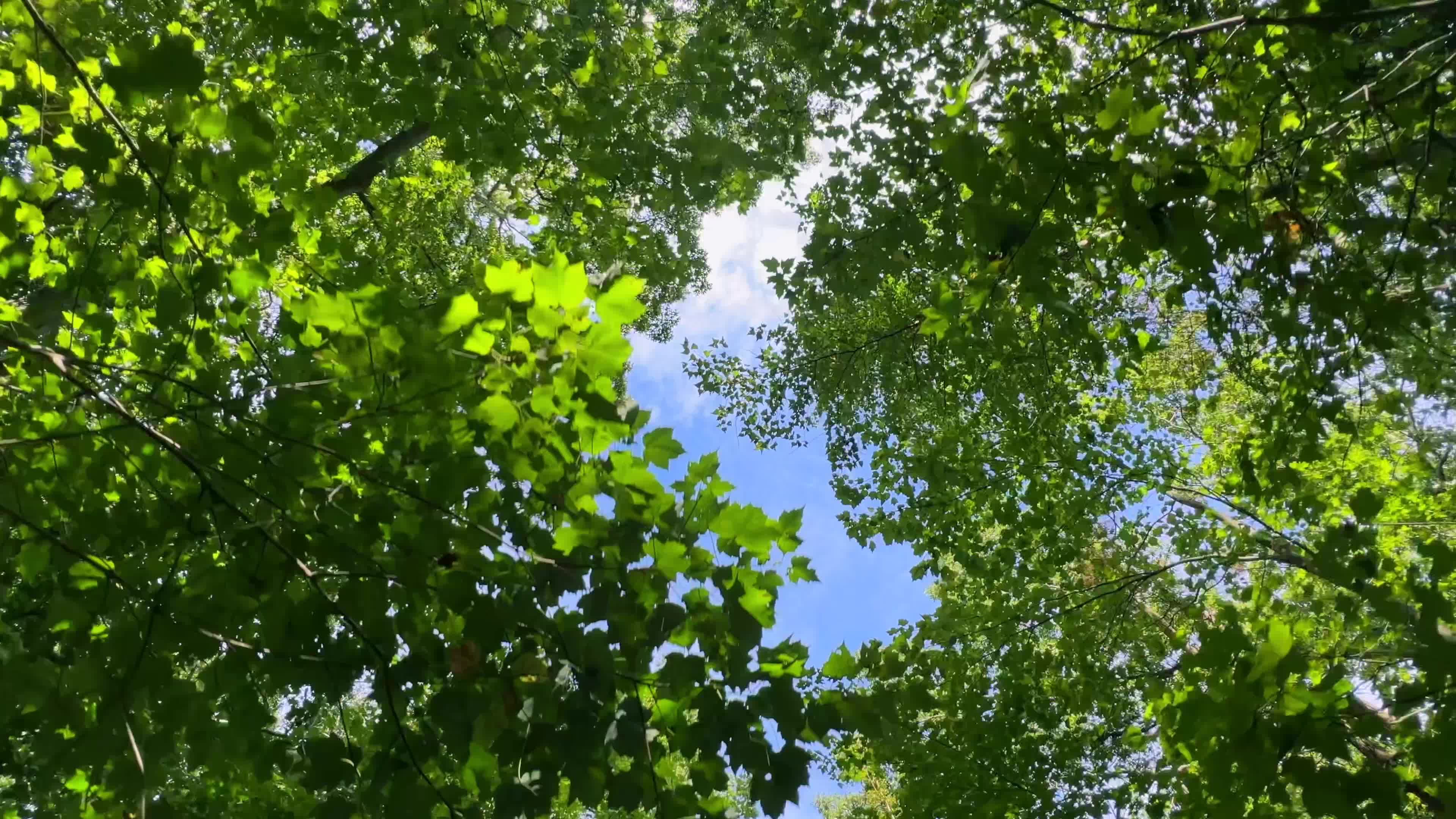 Video by AP Vibes