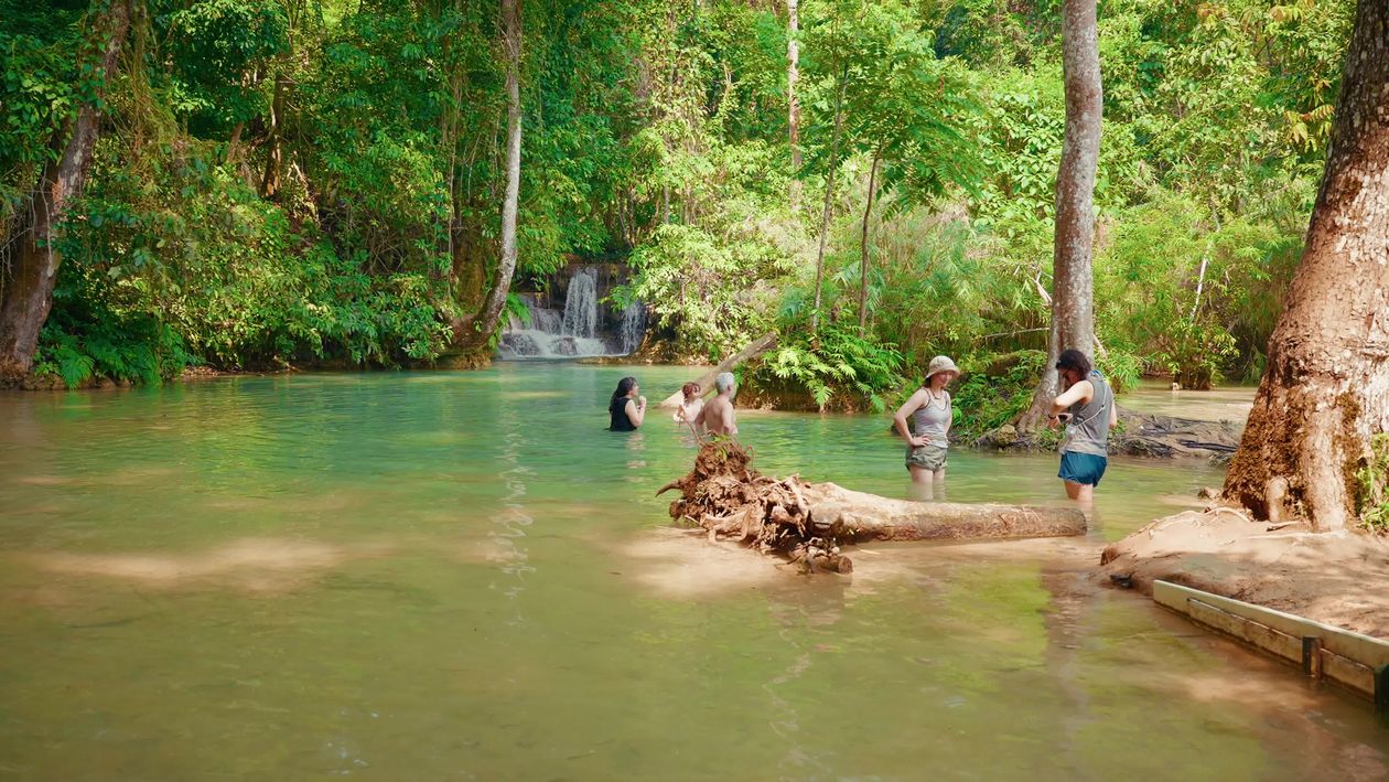 Scenic Tropical Stream with Lush Greenery Free Stock Video Footage ...