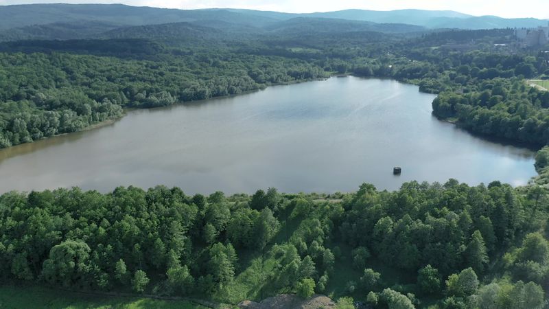 Tranquil Aerial View of Serene Forest Lake Free Stock Video Footage ...