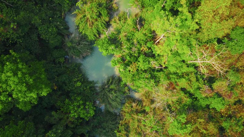 Drone View of a Forest River Free Stock Video Footage, Royalty-Free 4K ...