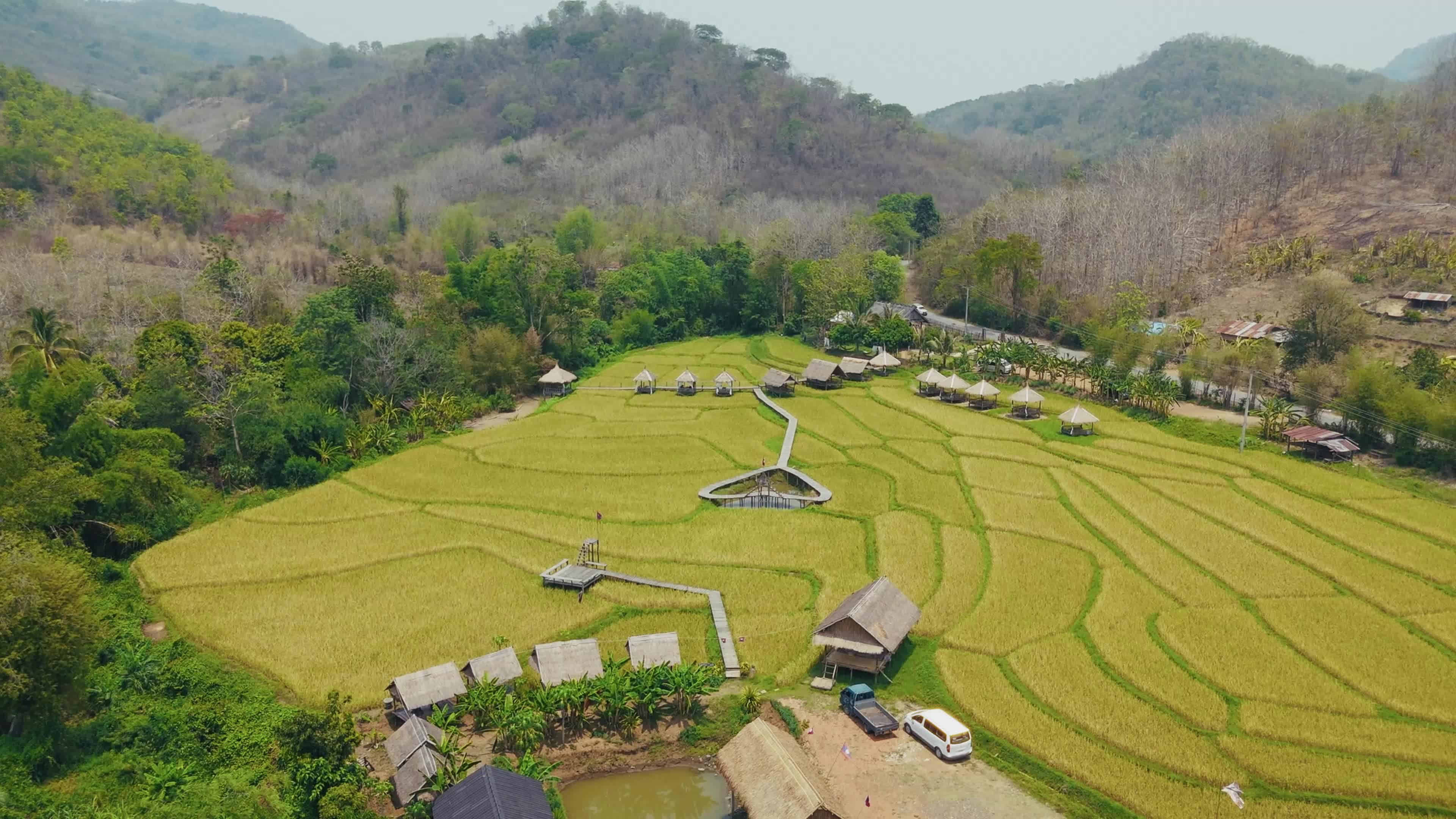 Scenic Aerial View of Lush Rice Terraces Free Stock Video Footage ...