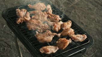 烤砣鸟腿视频素材视频素材