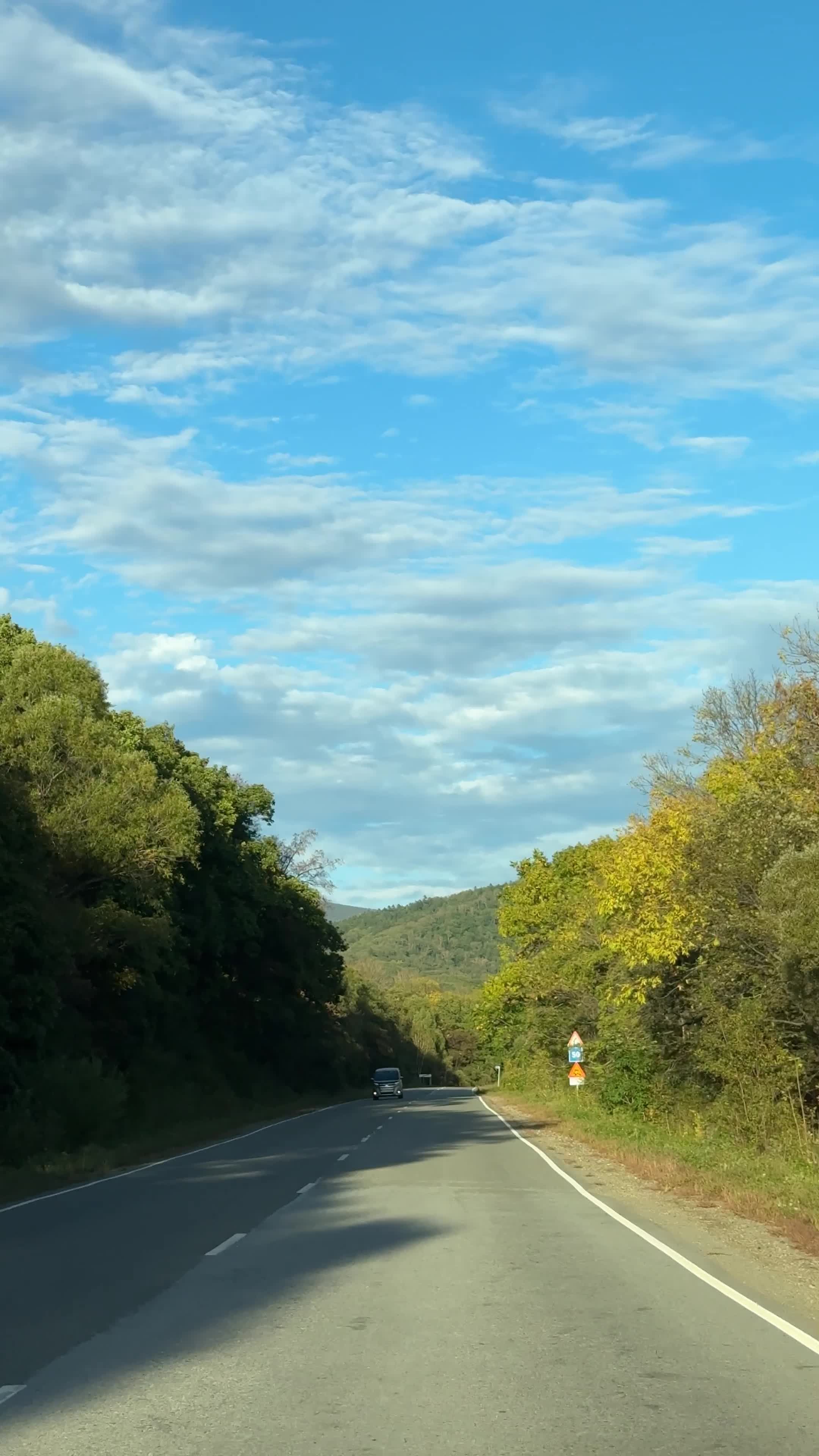 Scenic Drive on Country Road with Lush Trees Free Stock Video Footage ...