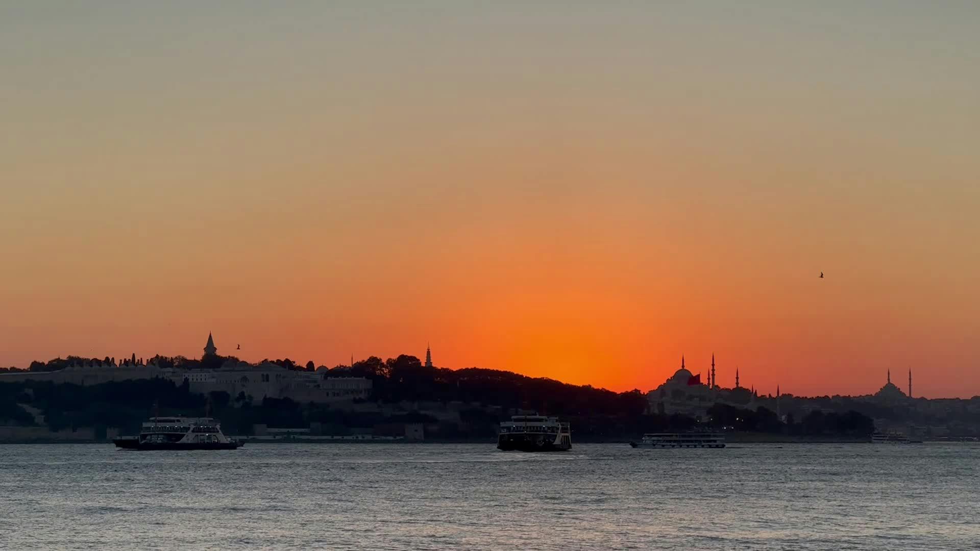 Julissa+Wallpaper Videos, Download The BEST Free 4k Stock Video Footage