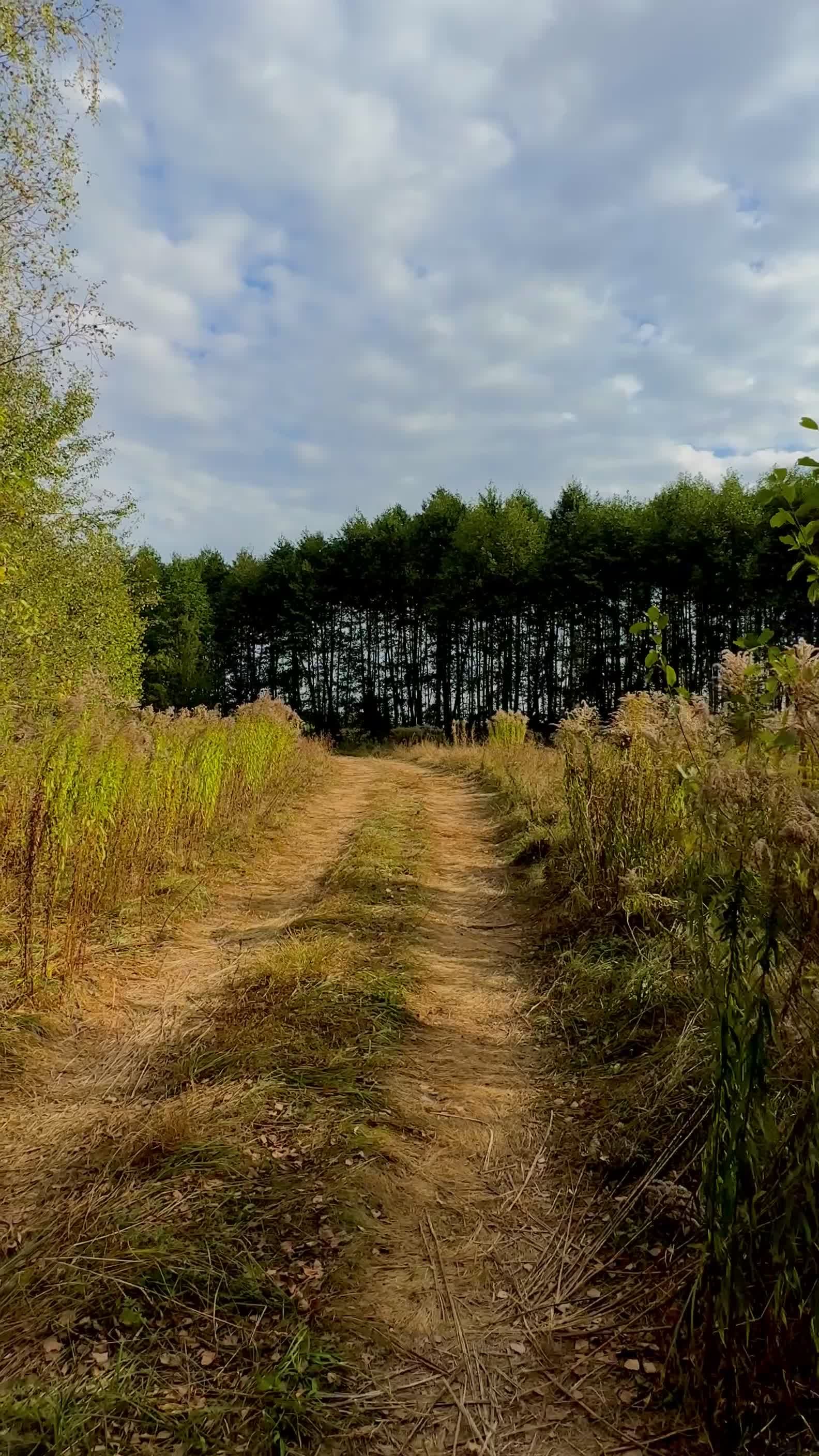 Video by SN.CHE