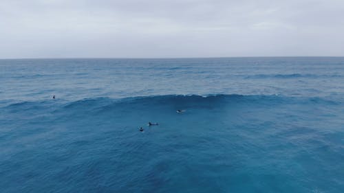 Surfers Ring The Waves`of The Sea