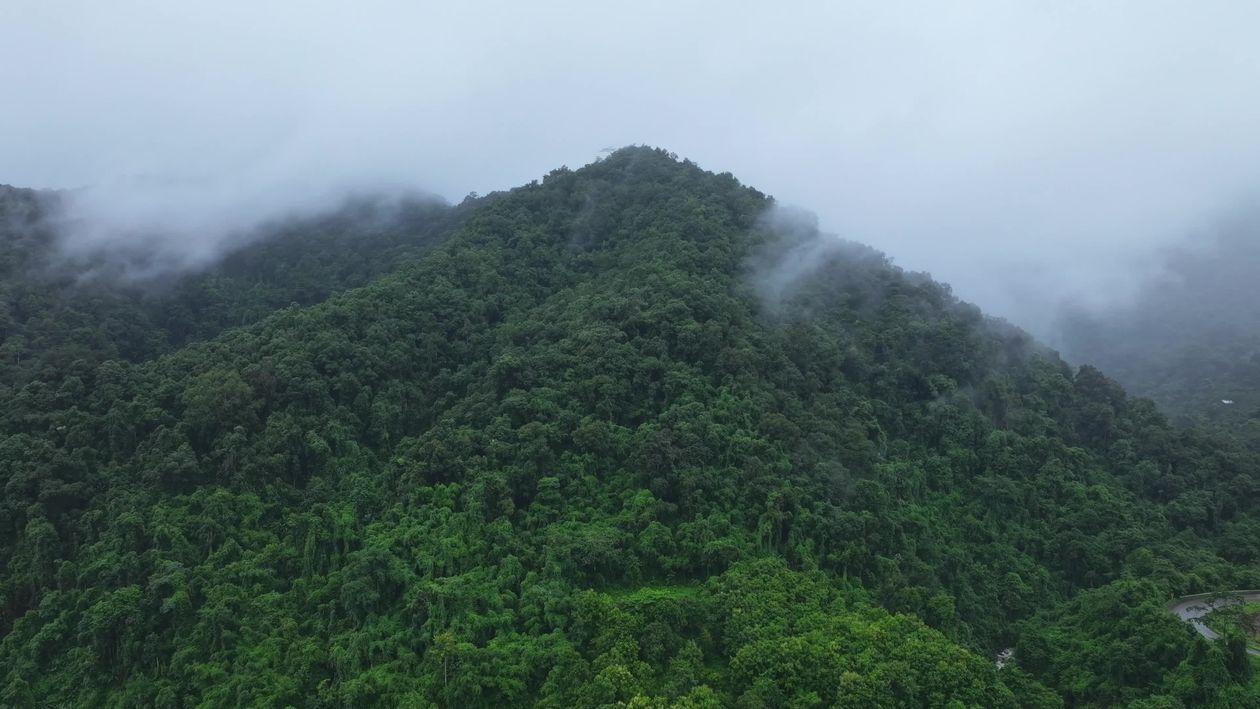 Aerial Drone View of Misty Green Mountain Range Free Stock Video ...