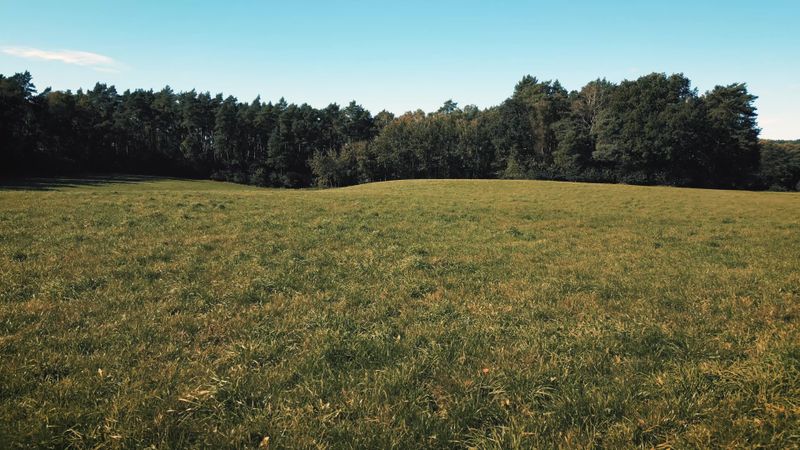 Forest Drone Videos, Download The BEST Free 4k Stock Video Footage ...