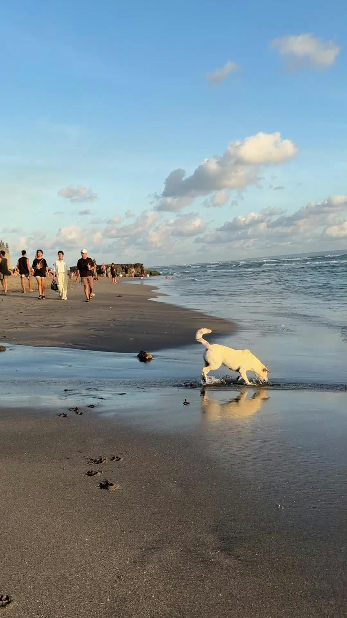 Nude Beach Walking Videos, Download The BEST Free 4k Stock Video Footage & Nude Beach Walking HD