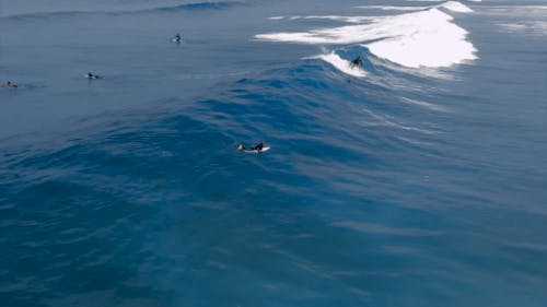 Surfer Cavalcando Le Grandi Onde Di Un Mare
