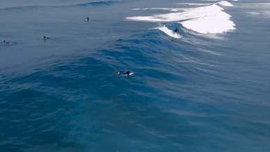 surfer riding the big waves of a sea